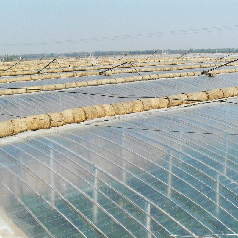 抗霧化、抗滴流劑 塑之寶 SP-3型