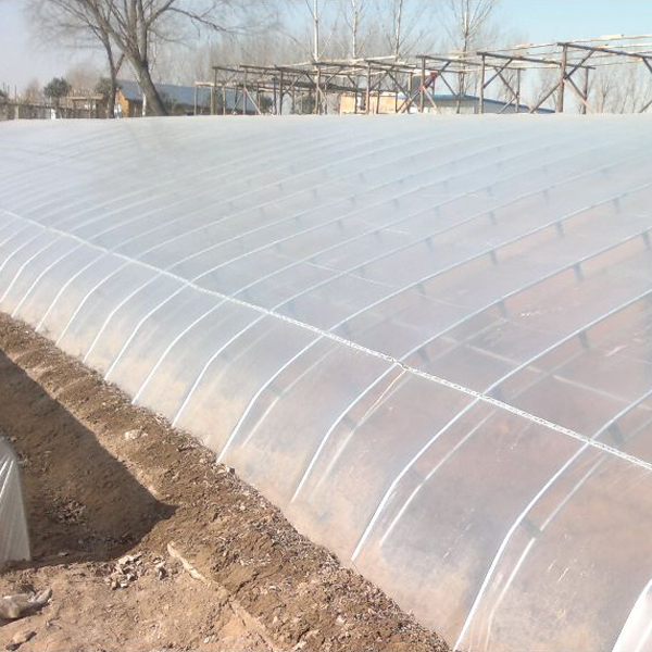 抗霧化、抗滴流劑 塑之寶 SP-3型